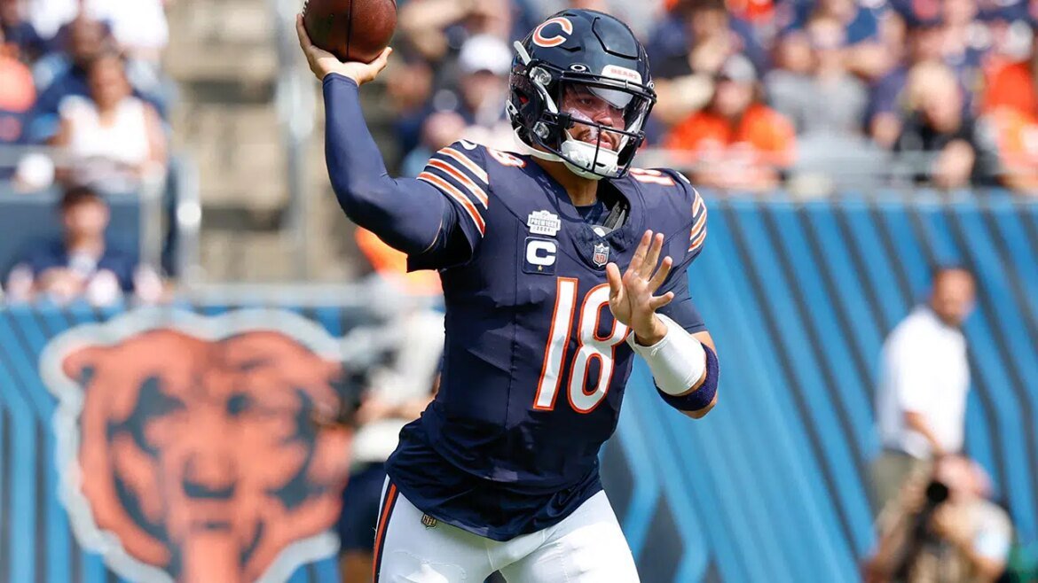 Palpite para Chicago Bears x Detroit Lions - NFL NEWS